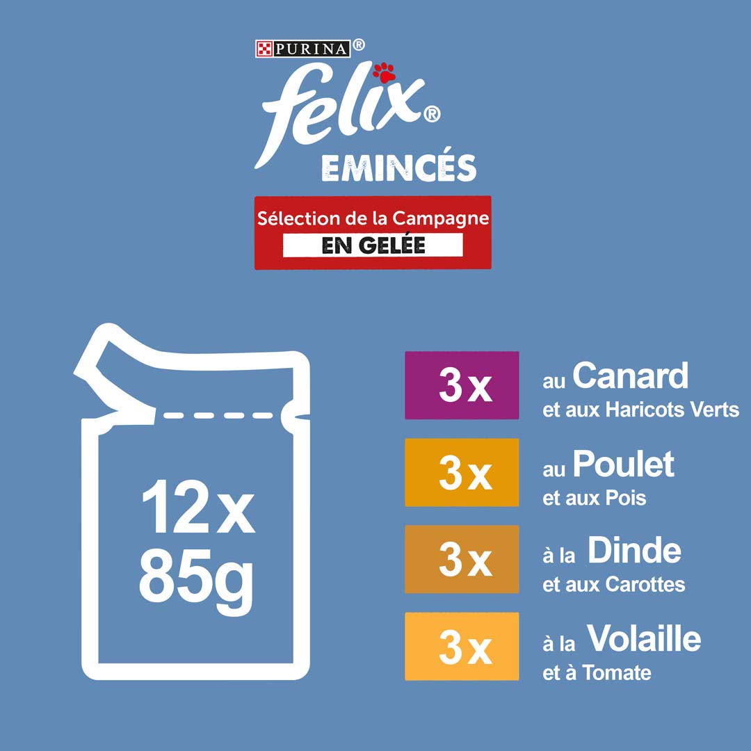 FELIX - En Gelée Sélection de la Campagne : Poulet, Bœuf, Lapin, Agneau -  12x100g - Lot de 6 : : Mode