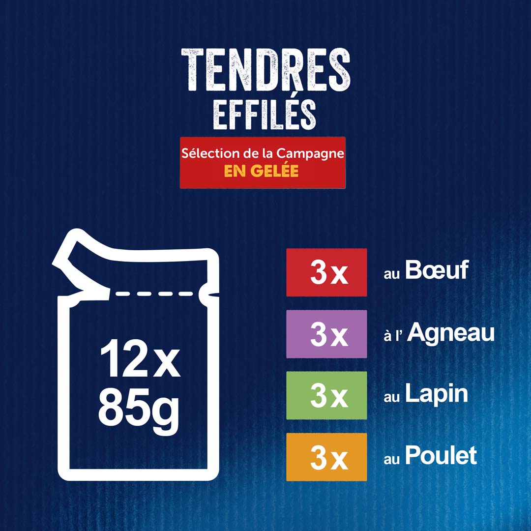 FELIX - En Gelée Sélection de la Campagne : Poulet, Bœuf, Lapin, Agneau -  12x100g - Lot de 6 : : Mode