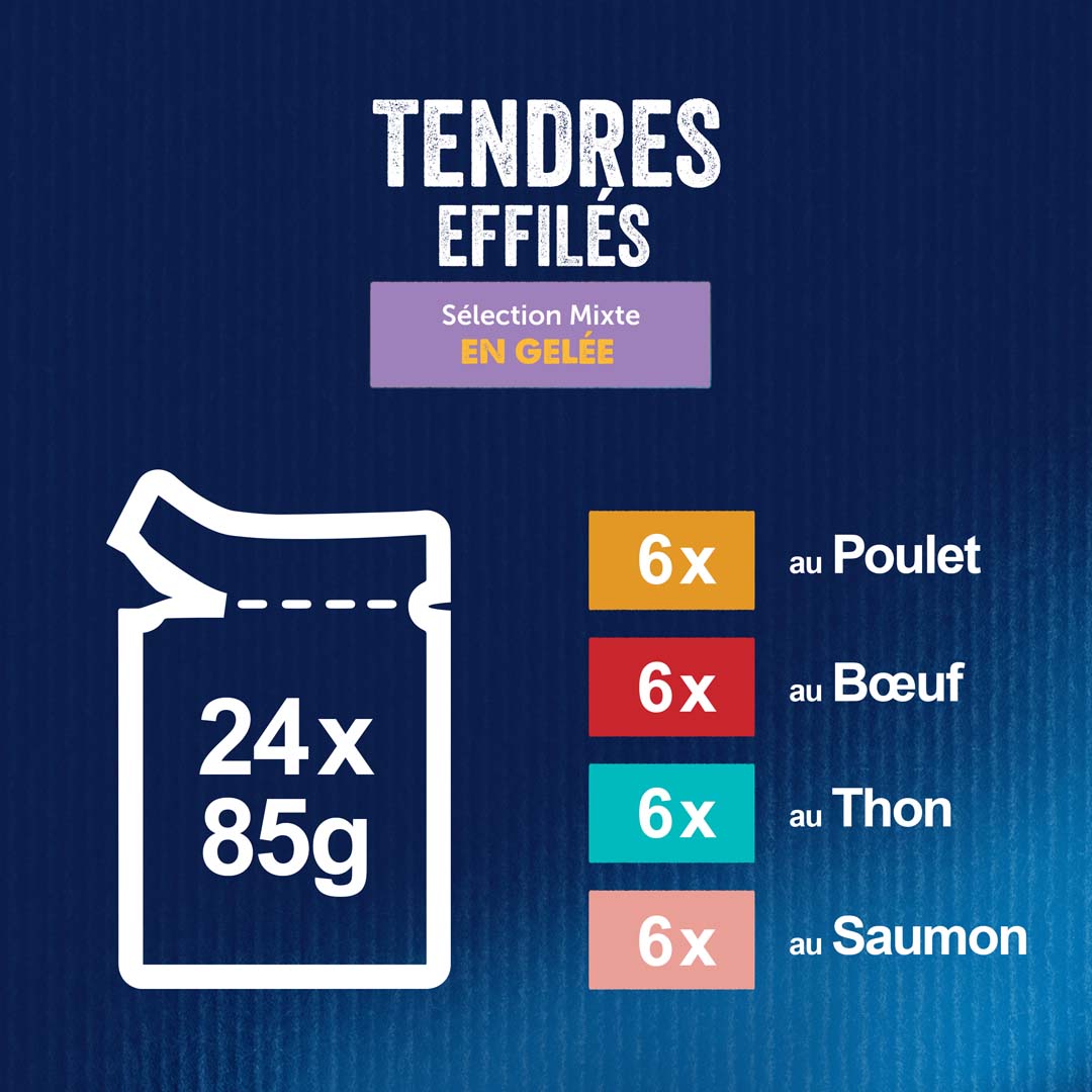 FELIX Tendres Effilés en Gelée Viandes-Poissons - 24 x 85 g