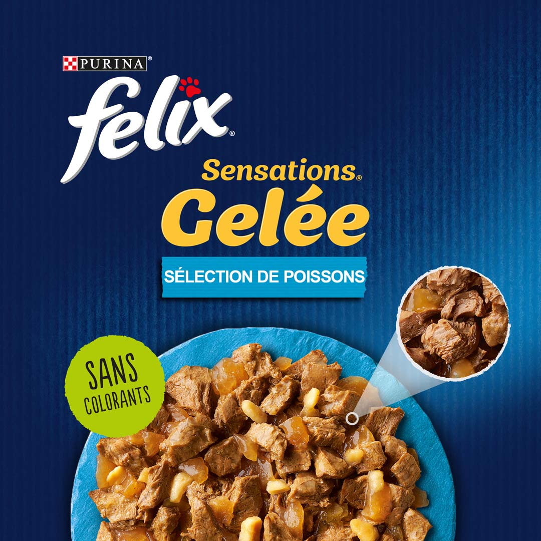Felix Ptée pour Chats Tendres Effilés engelée Viandes-Poissons