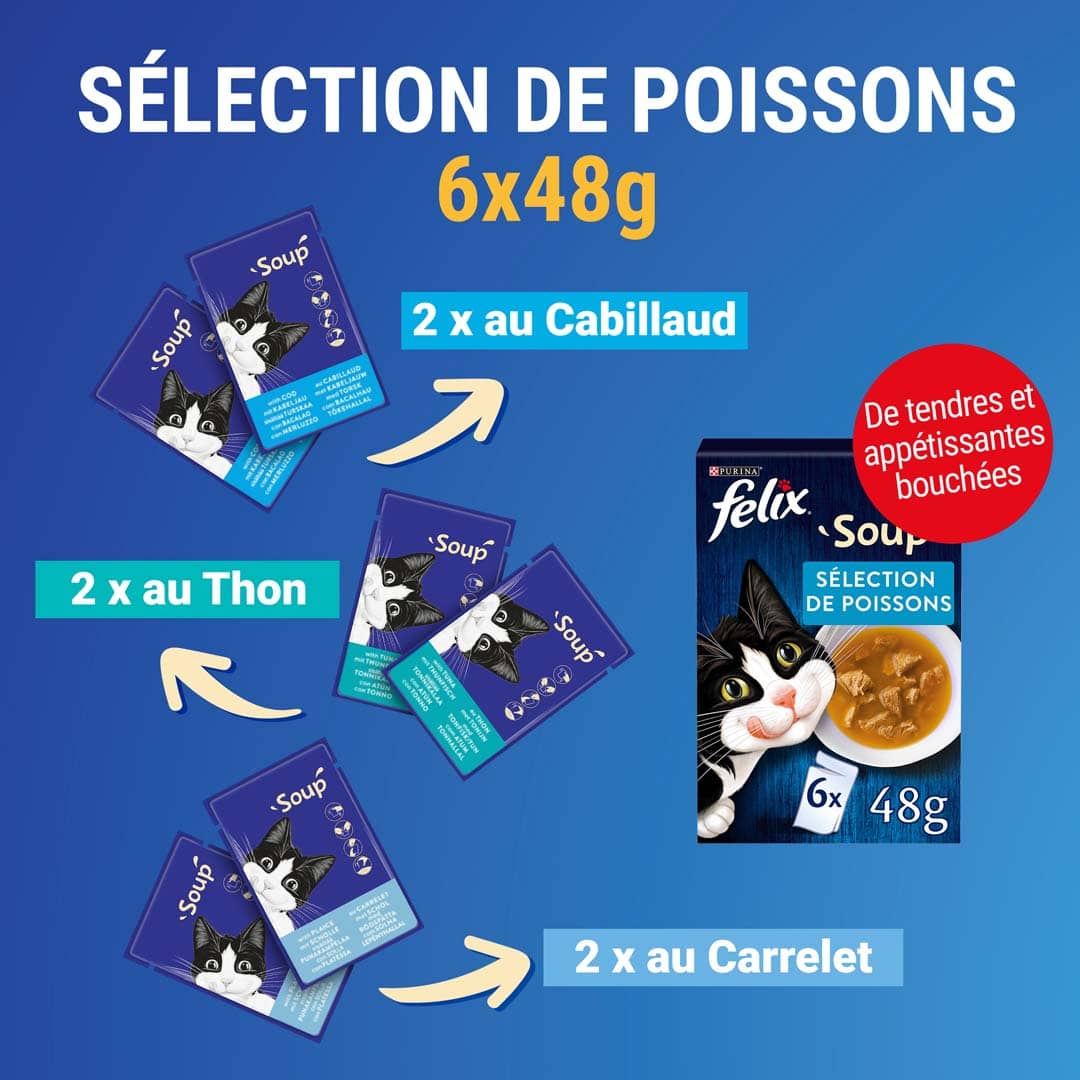 Soupe sélection campagne pour chat Félix x6 - 48g
