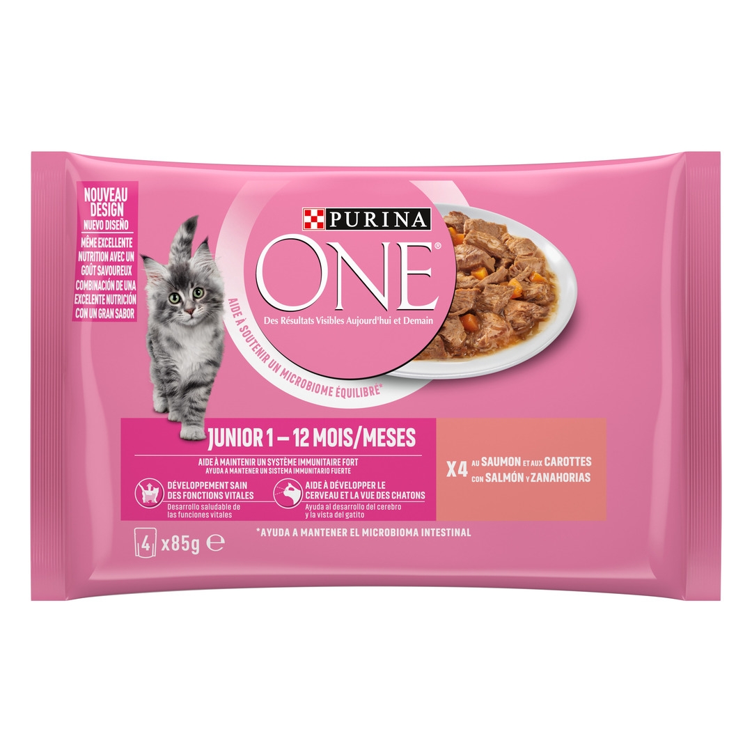 Purina ONE® Chat - Croquettes et sachets haute nutrition pour chat