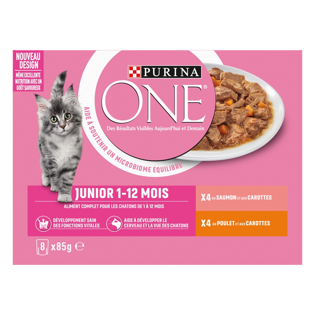 Purina ONE Croquettes chat Junior riche en poulet et céréales complètes 6 x  1,5 kg