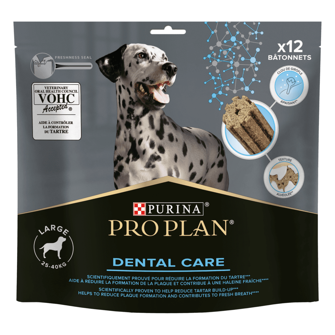 Purina pro plan dental best sale