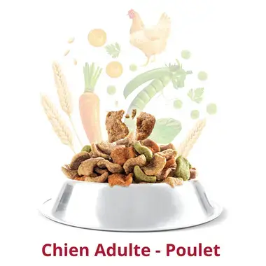 FIDO CROQ' MIX Adulte Au Poulet & aux Légumes Croquettes pour Chien