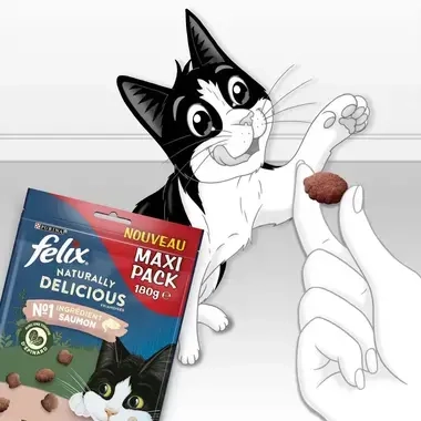 Friandises Chat Felix Naturally Delicious Saumon