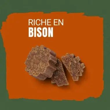 AdVENTuROS™ riche en Bison, avec céréale ancienne et super-aliments - Friandises pour Chien