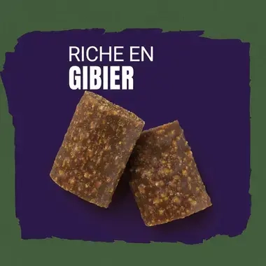 AdVENTuROS™ riche en Gibier, avec céréale ancienne et super-aliments - Friandises pour Chien