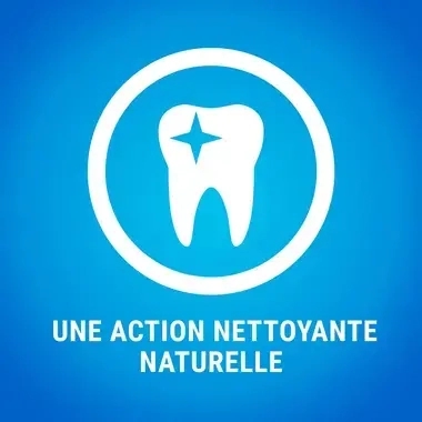 PURINA® DENTALIFE® Chat au Saumon Savoureux