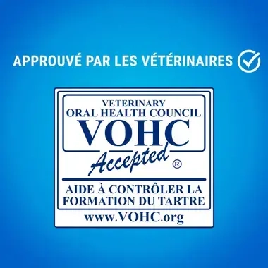 PURINA® DENTALIFE® Chat au Saumon Savoureux