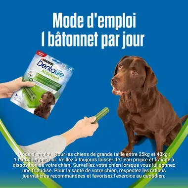 dentalife-activfresh-1-batonnet-par-jour