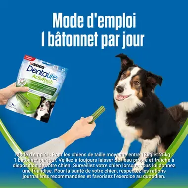 dentalife-activfresh-moyen-1-batonnet-par-jour