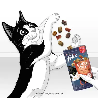 felix-party-mix-boeuf-chat