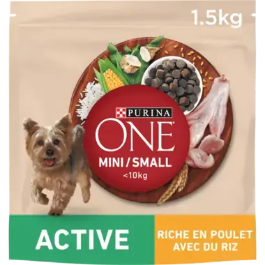PURINA ONE® MINI/SMALL < 10kg Active, Croquettes pour petit chien actif Riche en Poulet avec du Riz