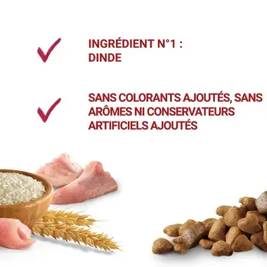 PURINA ONE® MEDIUM MAXI > 10kg Weight Control, Croquettes pour chien en surpoids ou stérilisé Riche en Dinde avec du Riz