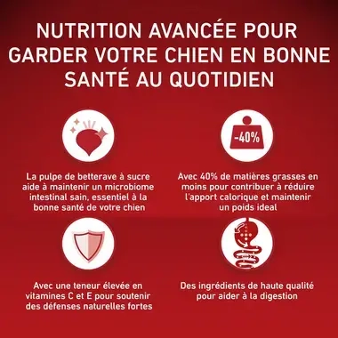 PURINA ONE® MEDIUM MAXI > 10kg Contrôle du Poids / Chiens stérilisés, Riche en Dinde avec du Riz