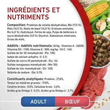 PURINA ONE® MINI/SMALL < 10kg Croquettes pour petit chien adulte Riche en Bœuf avec du riz