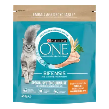Purina ONE® - Croquettes Urinary Care pour Chat au Poulet