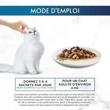 Rations journalières conseillées Gourmet Perle filettines en sauce viande pour un chat adulte à l'activité modéré