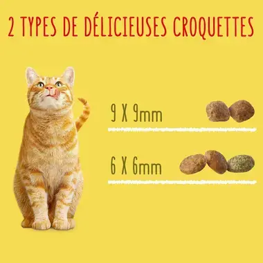 FRISKIES ® Pour Chat Stérilisé - Croquettes avec un délicieux mélange de Saumon et de Thon avec des Légumes