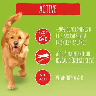 FRISKIES® ACTIVE Croquettes pour Chien au Bœuf