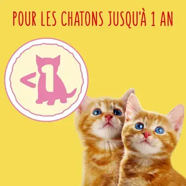 FRISKIES ® JUNIOR Pour CHATONS - Croquettes avec un délicieux mélange de Poulet et de Dinde avec du Lait