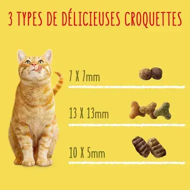 FRISKIES® CHAT ADULTE - Croquettes avec un délicieux mélange de Bœuf et de Poulet avec des Légumes