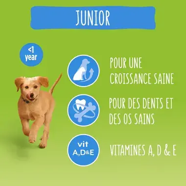 FRISKIES® JUNIOR Croquettes pour Chien au Poulet et aux Légumes avec du Lait