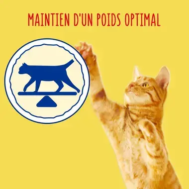 FRISKIES® Maintien d`un poids optimal