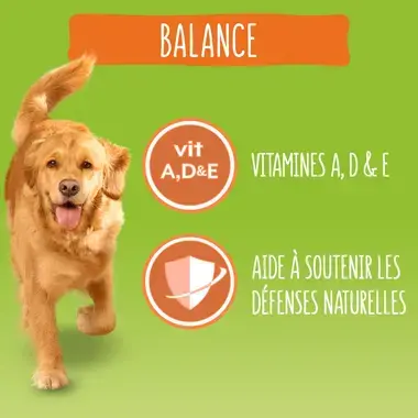 Friskies® Balance - Croquettes équilibrées pour chien au poulet et au boeuf