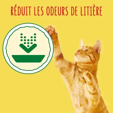 FRISKIES® Pour Chats D’intérieur - Croquettes avec un délicieux mélange de Poulet et de Dinde avec des Légumes