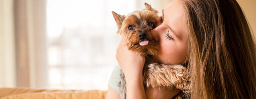 Éduquer un chien agressif, peureux, dominant ou possessif