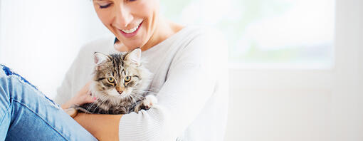 Comment choisir un chat a adopter en refuge ?