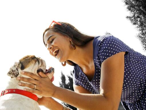 Femme parlant au bouledogue