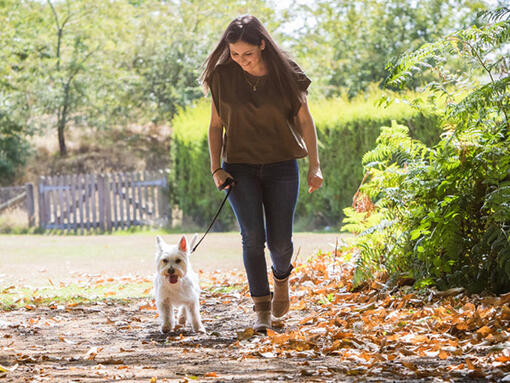 Femme qui promène un chien à l'extérieur