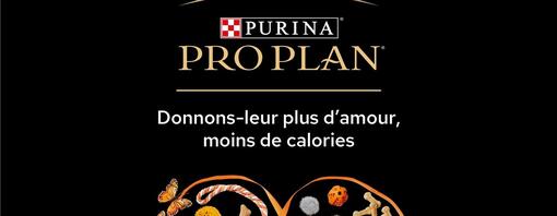 PURINA s’engage dans la prévention de l’obésité chez le chien et le chat