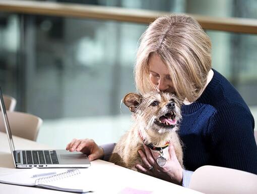 Femme et chien à l'ordinateur portable