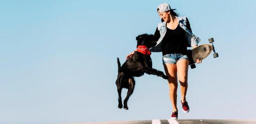 Chien avec la maîtresse sur l'autoroute