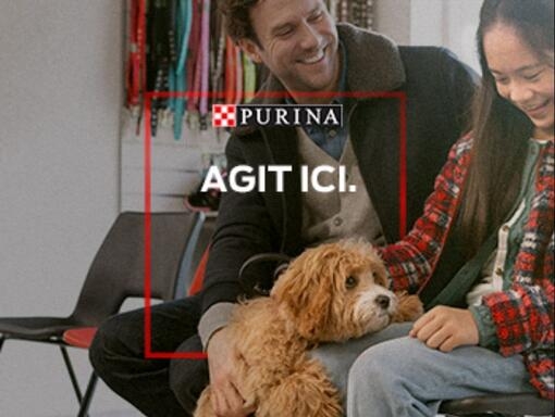 Purina Agit Ici Et La Adoption Chien Refuge