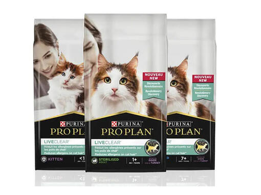 Gestion Des Allergenes De Chat Une Avancee Purina Belgium