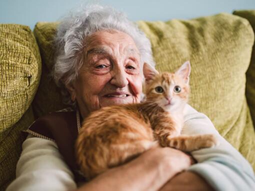 Vieille femme avec un chat