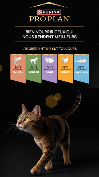 Mon Chat Stérilisé Pro Plan