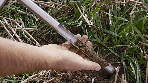 Agriculteur plantant des graines.jpg