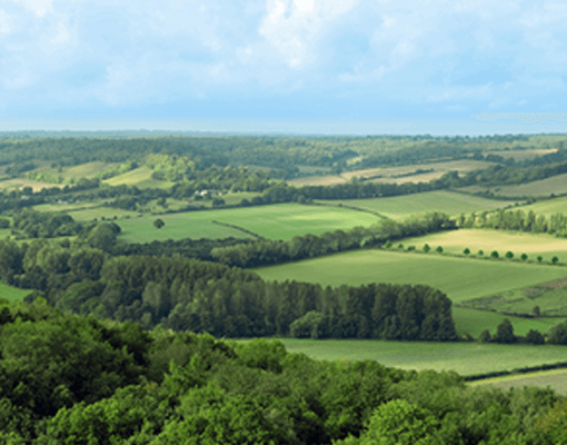 Découvrez nos efforts en matière d'Agriculture Régénératrice 