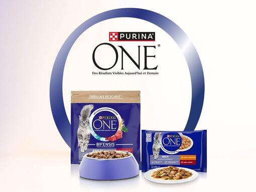 PURINA ONE® L’ALIMENTATION MIXTE