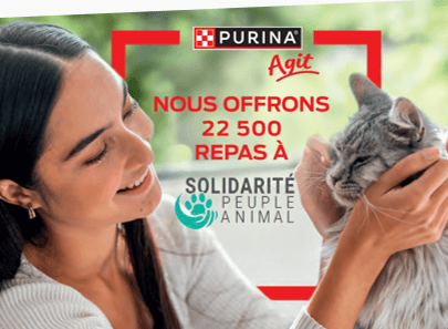 Collectes pour les refuges