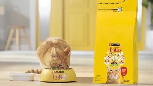 Les 5 Promesses FRISKIES® Chat