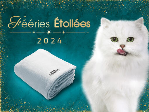 Feeries etoilet